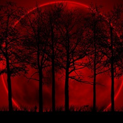 VII: Moonlight