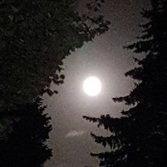 Live Remix 80s Hard Dance