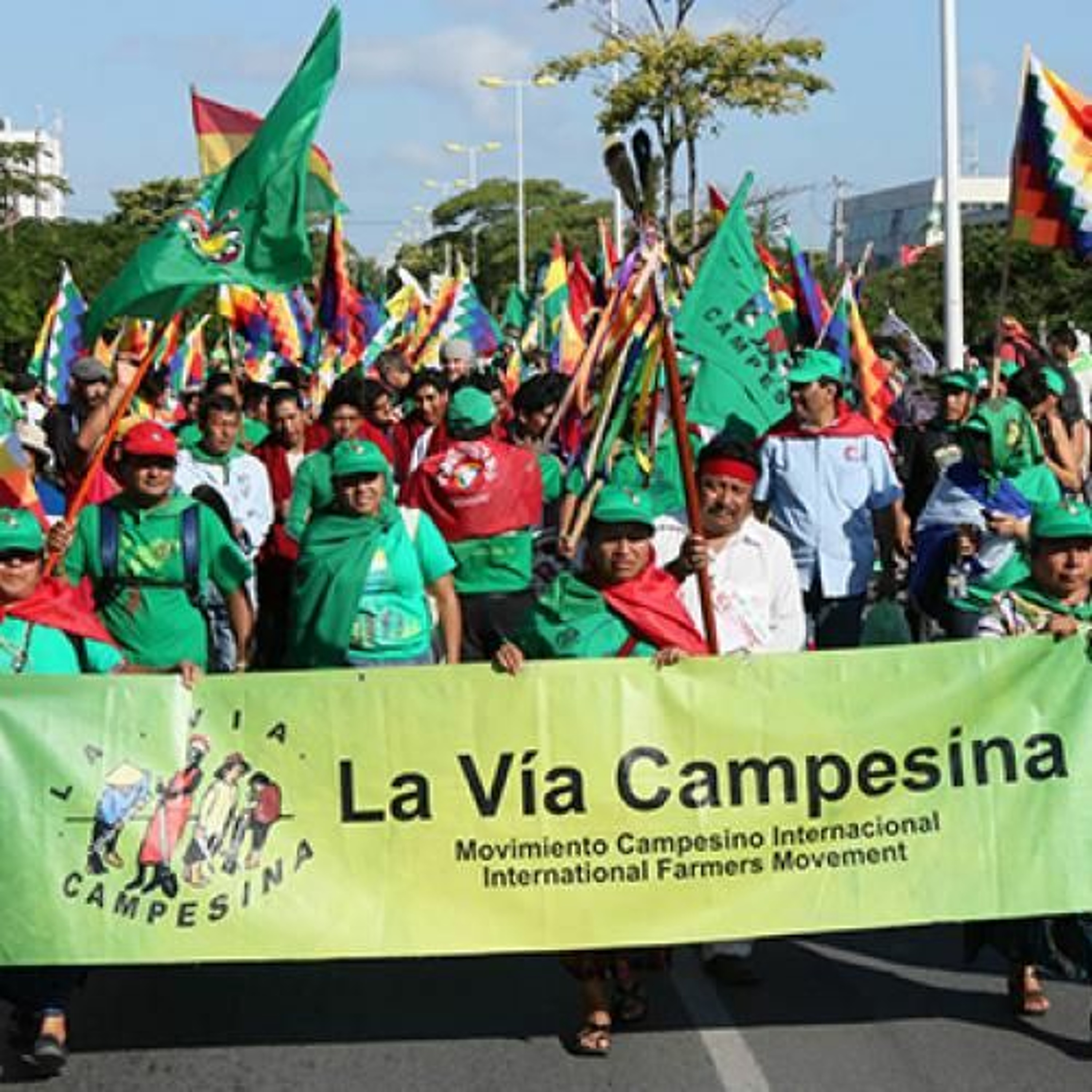 Interview with David Otieno and Mateus Costa Santos of La Via Campesina episode artwork