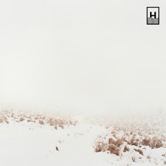 Enrico Degani - THAW