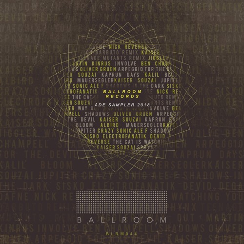 Shadows in the Dark (Original Mix)