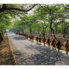 Dòng Nhạc Áo Nâu  Thiền Ca Làng Mai Playlist 3