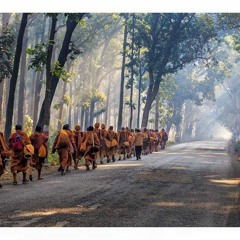 Thiền Ca Làng Mai (Plum Village Song) - Phần 1