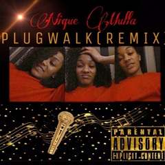 Plug Walk Remix - Nique Mulla