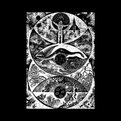 Tav Exotic - Diospyros Plastikos LP  {Snippets}