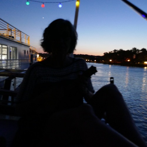 La Java Bleue (Koger/Renard/Scotto) - cover - Chrisilele