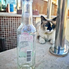 14th October, You, Empty Beer Bottles on the Sidewalk and the Sleepy Cat with Blue Eyes(Remember Me)