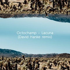 Exclusive Premiere: Octo Champ "Lacuna (David Hanke Remix)" (Shapes Of Rhythm Records)