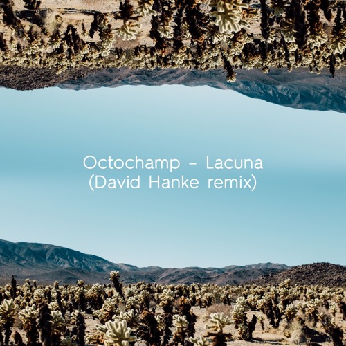 Exclusive Premiere: Octo Champ "Lacuna (David Hanke Remix)" (Shapes Of Rhythm Records)