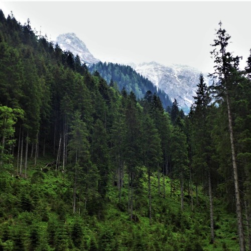 2019__Chillout pt.1__compuled by cgroove!