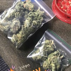 100% Rollers VOL.1