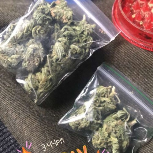 100% Rollers VOL.1