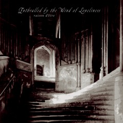 Raison d'être - The Awakening - Excerpt