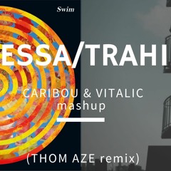 Odessa/Trahison - Caribou & Vitalic mashup(Thom Aze remix)