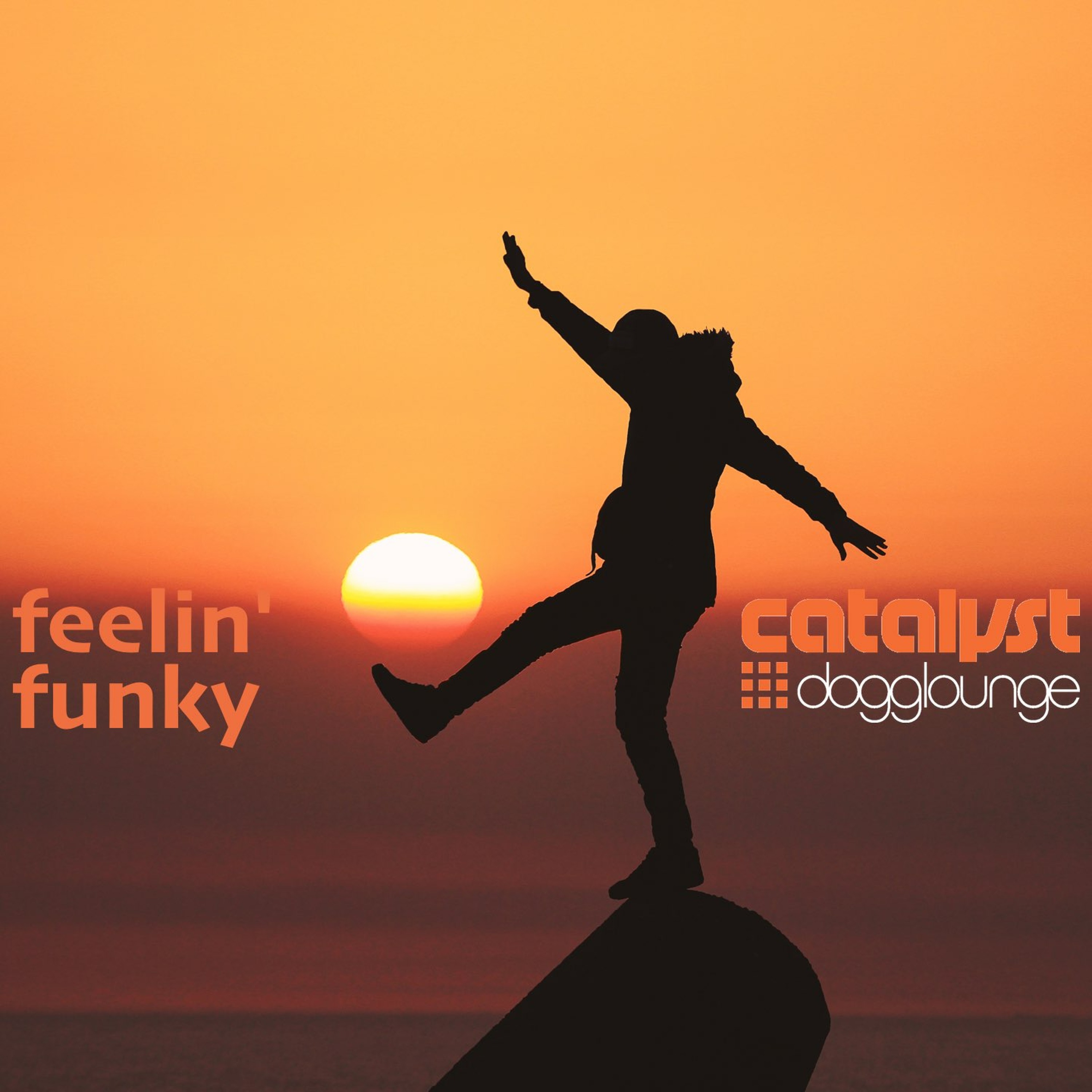 cover of episode DL079 - feelin' funky