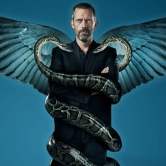 House M.D. (European Theme Remix)