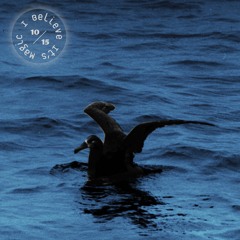 I Believe It's Magic 10/15/18