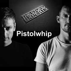 The Stupid Experts - Pistolwhip