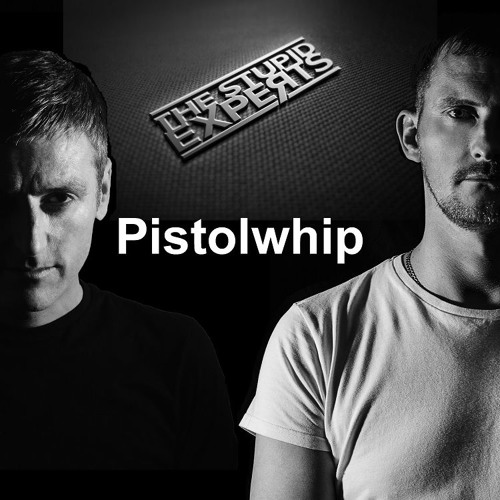 The Stupid Experts - Pistolwhip