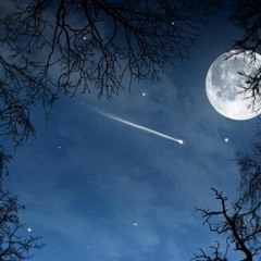 Sparki Dee - Moonlit Sky