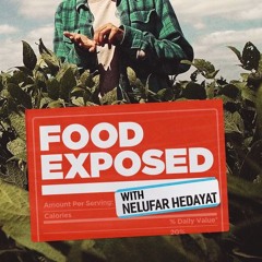 Food Exposed: 01 Main Titles