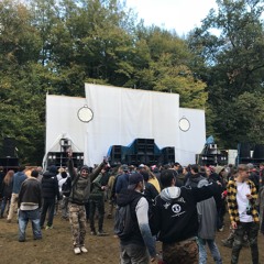 best tribe acidcore