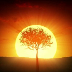 | Sun will rise |