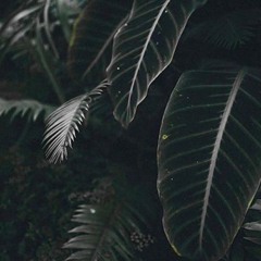 Karna Sa Su Sayang - Near Ft. Dian Sorowea ( short cover )