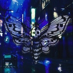 baker x akoza ▸ on the scene / iɴsᴇᴄᴛᴏɪᴆ ʀᴇ:ᴇᴅɪᴛ