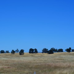 thoughts i had while careening (prod. tristan (lol))