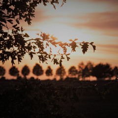 wistful summer -twitch stream 8/2018