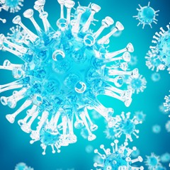 Liver's Immune System - Radio Show Archive
