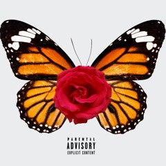 King Lazy - AnnMarie Ft Lady Divine