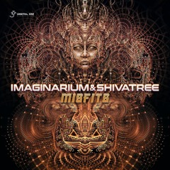 Imaginarium & Shivatree - Misfits (sample)