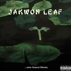 Clear My Mind - New Leaves Bloom
