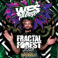 Wes Please - Fractal Forest Mix - Shambhala 2018