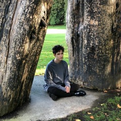 untitled lofi beat [FLM]