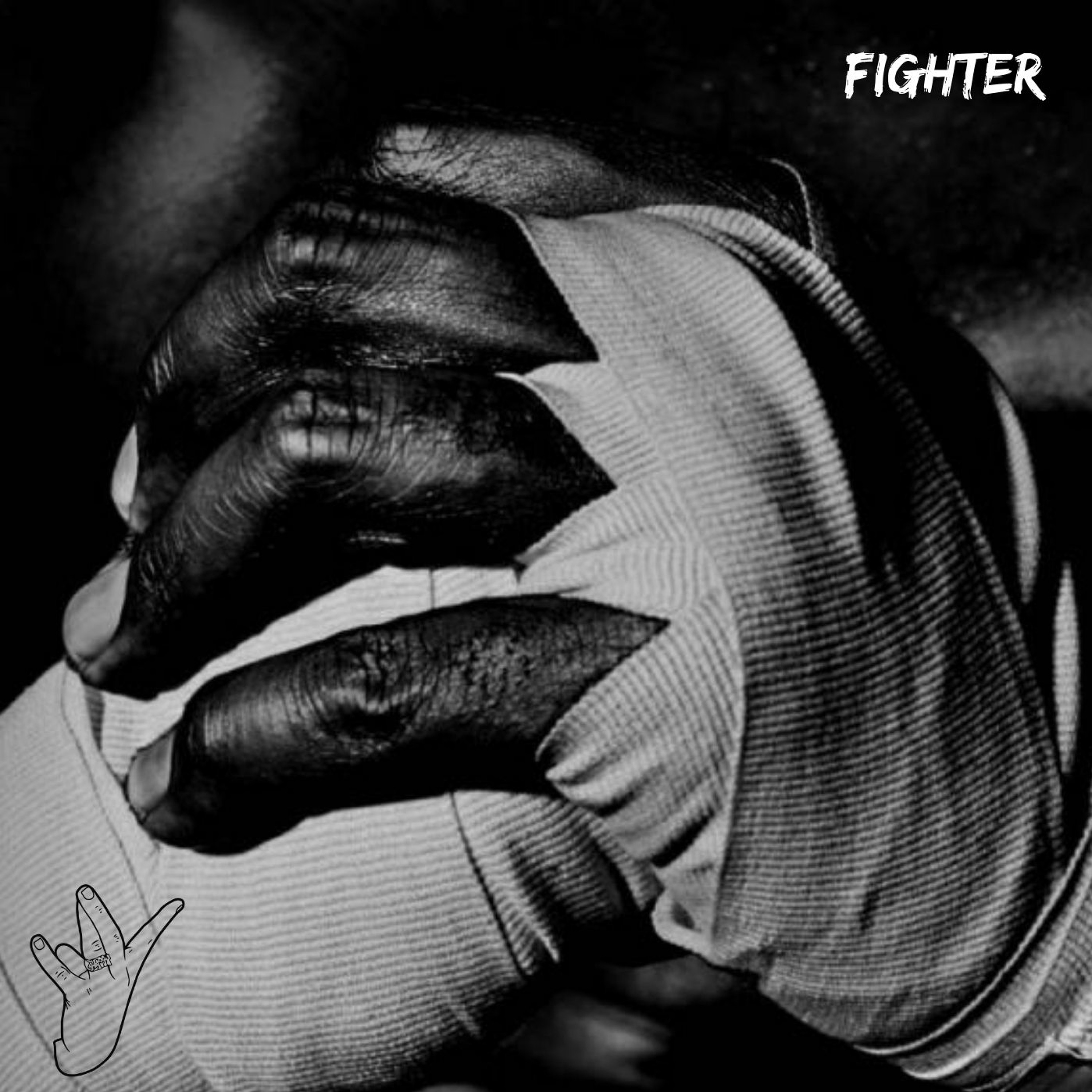 Fighter episode artwork