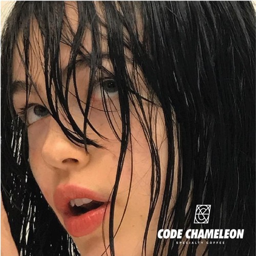 CODE CHAMELEON (7ip7o3)