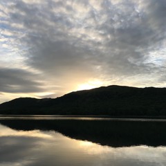 Birth Of Paradise