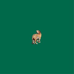 ¡Cazamos Cometas! - María