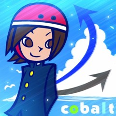 HI PUNK 「cobalt (Vocal Best)」
