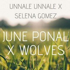 June Ponal X Wolves (Tamil Mix)