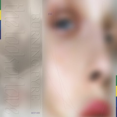 Premiere: Burning Pyre - Artifice & Action [Perfect Aesthetics]