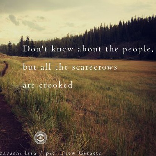 all the scarecrows (Are Crooked)(naviarhaiku249)