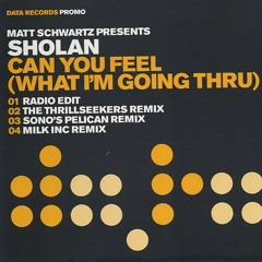 Sholan - Can You Feel (The Thrillseekers Remix)