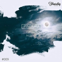 EXCLUSIVE: Pindura - Lunaris (Original Mix) [Flauschig Records]
