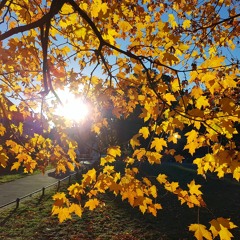 Ingo Sänger @ October 2018