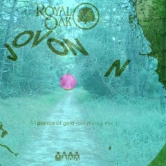 Jovonn - Pianos Of Gold (Ian Pooley) (AE Forest Touch)