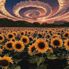 Das Kann Er Aber Besser Das Casperle